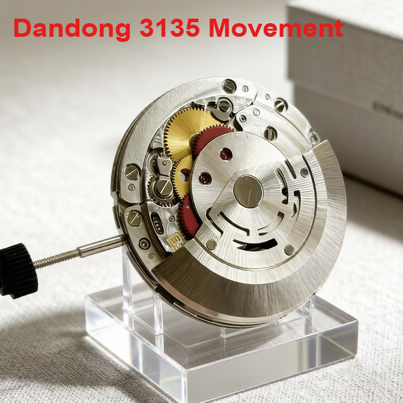Dandong Super 3135 automatic m - Watch Winder Compact review and price